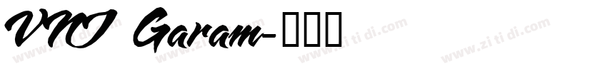 VNI Garam字体转换